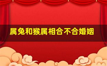 属兔和猴属相合不合婚姻