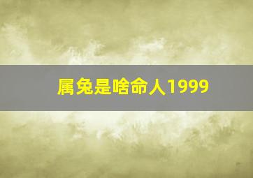 属兔是啥命人1999