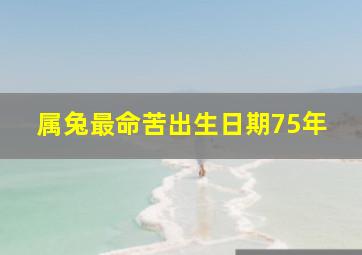 属兔最命苦出生日期75年