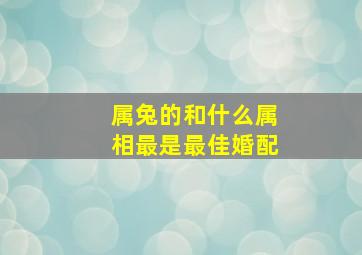 属兔的和什么属相最是最佳婚配