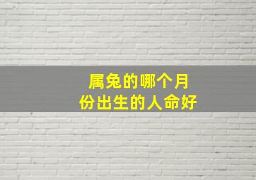 属兔的哪个月份出生的人命好