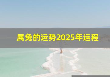 属兔的运势2025年运程