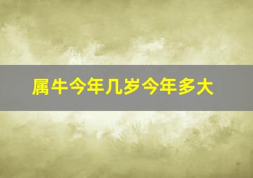 属牛今年几岁今年多大