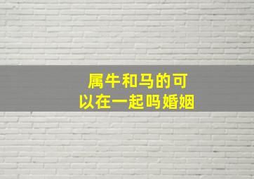 属牛和马的可以在一起吗婚姻