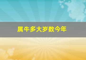 属牛多大岁数今年