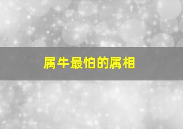 属牛最怕的属相