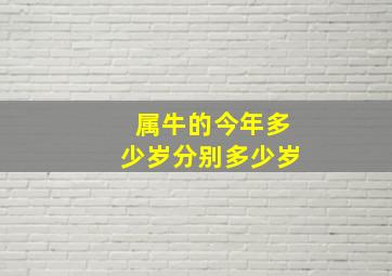 属牛的今年多少岁分别多少岁