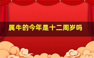 属牛的今年是十二周岁吗