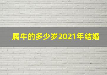 属牛的多少岁2021年结婚