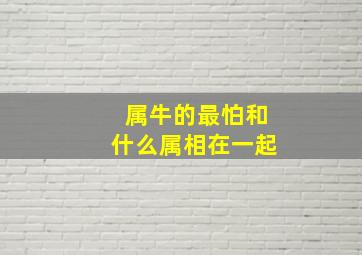 属牛的最怕和什么属相在一起