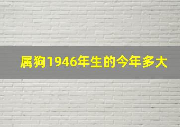 属狗1946年生的今年多大