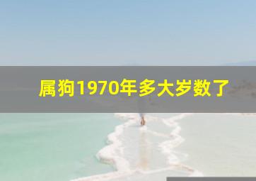 属狗1970年多大岁数了