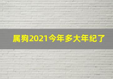 属狗2021今年多大年纪了