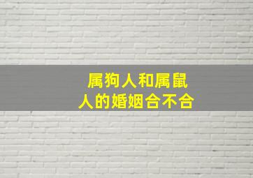 属狗人和属鼠人的婚姻合不合