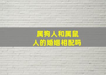 属狗人和属鼠人的婚姻相配吗