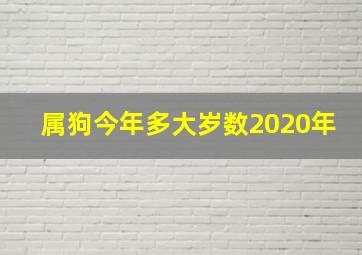 属狗今年多大岁数2020年