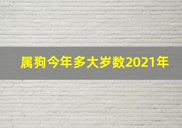 属狗今年多大岁数2021年