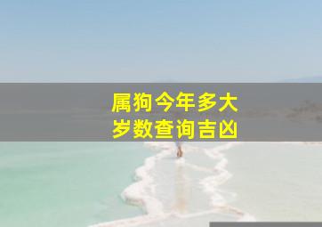 属狗今年多大岁数查询吉凶