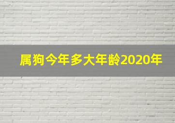 属狗今年多大年龄2020年