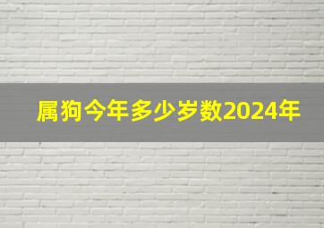 属狗今年多少岁数2024年