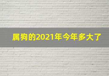 属狗的2021年今年多大了