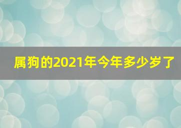 属狗的2021年今年多少岁了