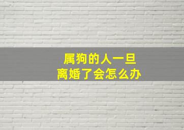 属狗的人一旦离婚了会怎么办