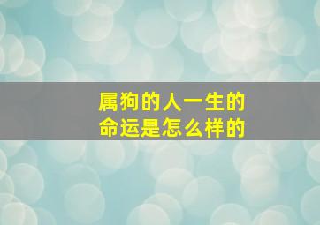 属狗的人一生的命运是怎么样的