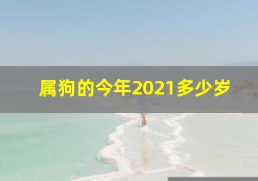 属狗的今年2021多少岁