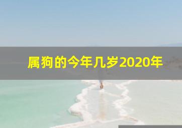 属狗的今年几岁2020年