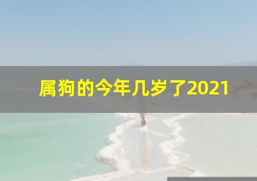 属狗的今年几岁了2021