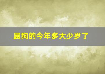 属狗的今年多大少岁了