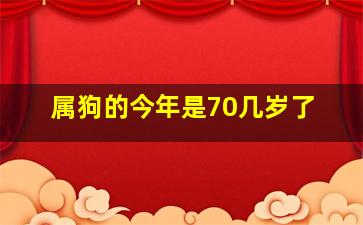 属狗的今年是70几岁了