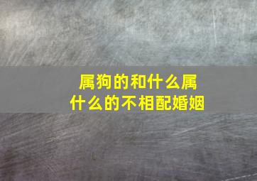 属狗的和什么属什么的不相配婚姻