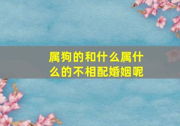 属狗的和什么属什么的不相配婚姻呢