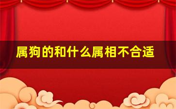 属狗的和什么属相不合适