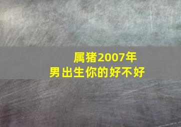 属猪2007年男出生你的好不好