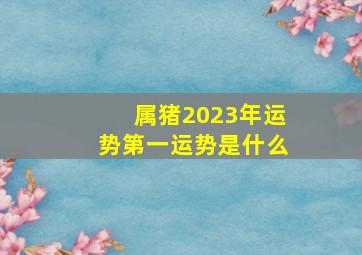 属猪2023年运势第一运势是什么