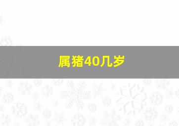 属猪40几岁