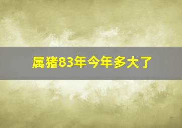 属猪83年今年多大了