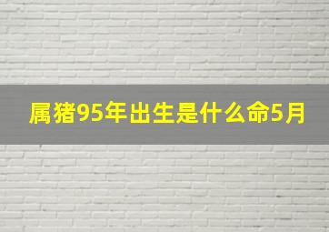 属猪95年出生是什么命5月