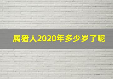 属猪人2020年多少岁了呢