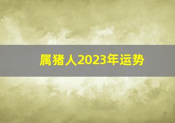 属猪人2023年运势