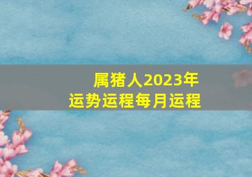 属猪人2023年运势运程每月运程