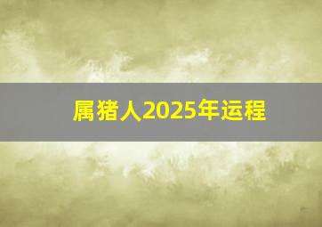 属猪人2025年运程