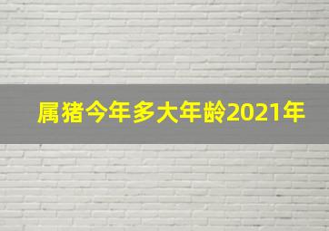 属猪今年多大年龄2021年