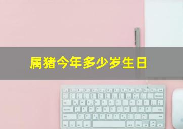 属猪今年多少岁生日