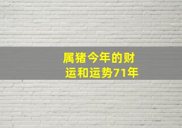 属猪今年的财运和运势71年