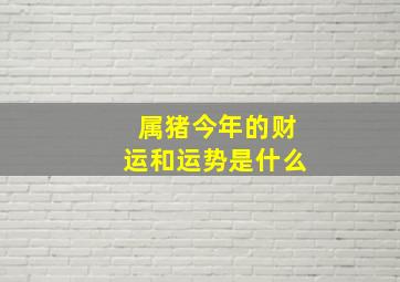 属猪今年的财运和运势是什么