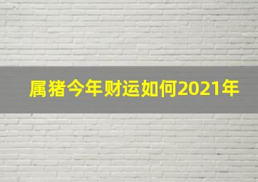 属猪今年财运如何2021年